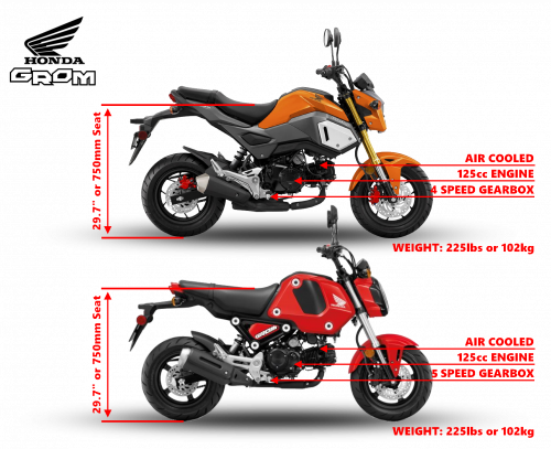 Grom 2026 Tall (2 Up)